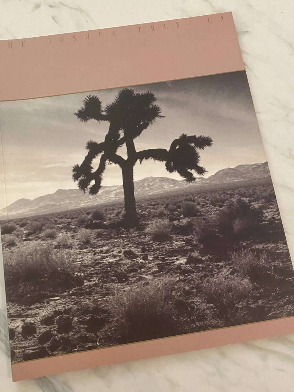 U2 1987 The Joshua Tree Tour Program Book Concerts Photos Coffee table Book